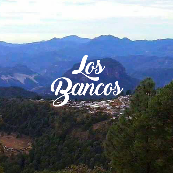 LOS BANCOS